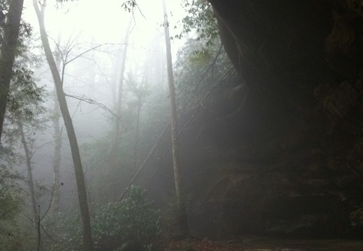 Rough Trail, Red River Gorge